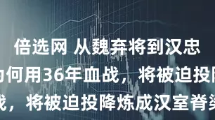倍选网 从魏弃将到汉忠魂：姜维为何用36年血战，将被迫投降炼成汉室脊梁